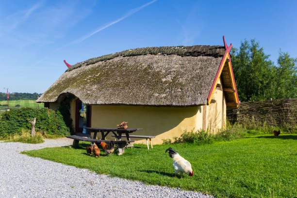 chickens in front of the small viking house in fyrkat village near hobro - chicken house imagens e fotografias de stock