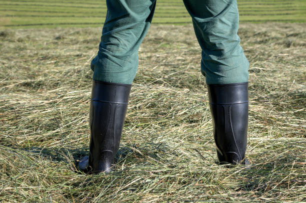 istock With black rubber boots in the hay field at work. 1391963372