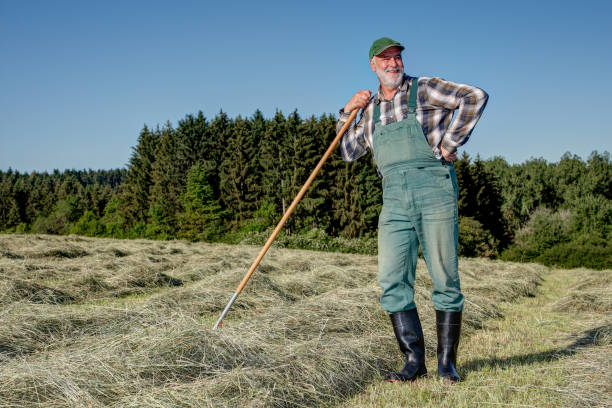 istock On the hay field, the old farmer takes a break from the strenuous work. 1391963398