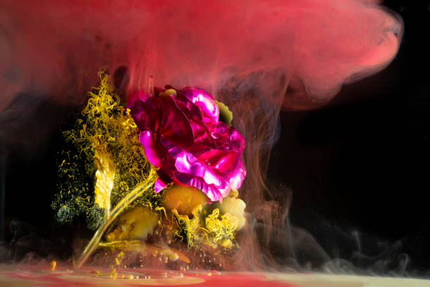 istock Artificial red rose with watercolor mixed on black background. 1391965440