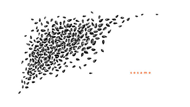 ilustrações de stock, clip art, desenhos animados e ícones de pile of black sesame, cumin seeds, top view vector - sesame