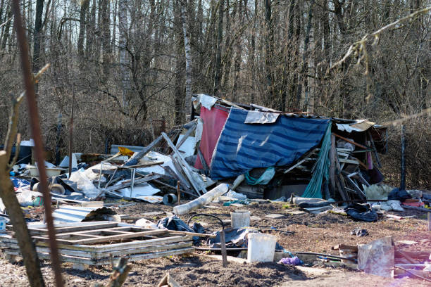 istock Not a legal garbage dump in the forest 1391967077