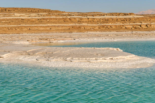 istock Salt layers on the Dead Sea. Abstract texture. Israel 1391967207