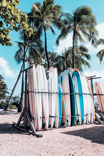 Surfboards in the rack on sandy beach with palm trees and ocean at famous Waikiki Beach in Honolulu, Hawaii