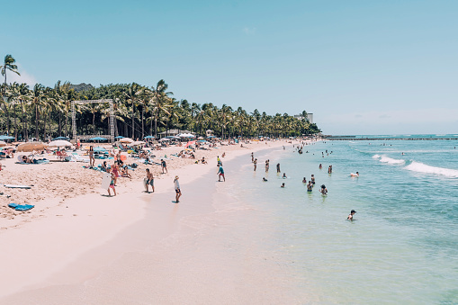 HONOLULU, UNITED STATES - APRIL 9, 2022 : People relaxing  on Waikiki Beach with sand and palm trees by the ocean in Honolulu, Hawaii