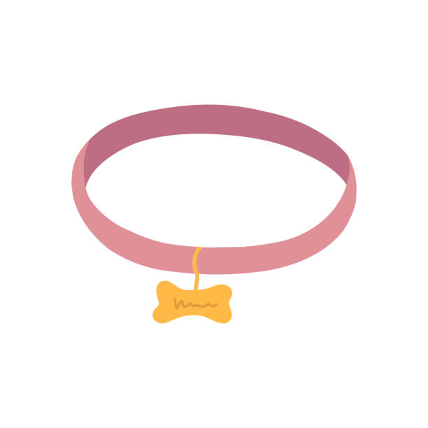 ilustraciones, imágenes clip art, dibujos animados e iconos de stock de collar de mascota rosa con hueso dorado en estilo plano de dibujos animados. collar de gatos o perros con medallón. accesorio para gatitos o cachorros aislados sobre fondo blanco - pet collar
