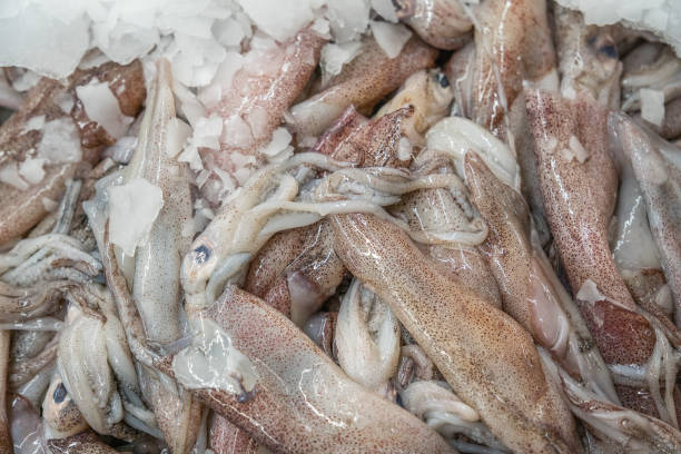 istock Pile of raw squid 1391970604