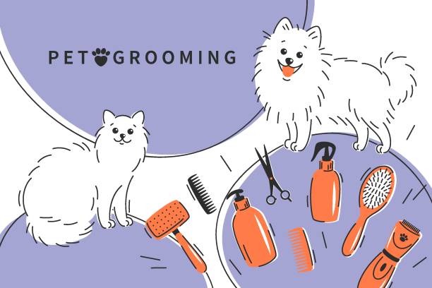 Grooming 05 Pet grooming. Cartoon dog and cat character with different tools for animal hair grooming, haircuts, bathing, hygiene. Vector illustration for pet care salon. pomeranian dog taking a bath stock illustrations