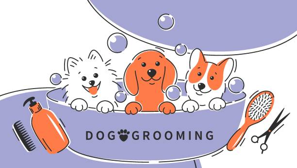 Grooming 11 Dog grooming. Cartoon dogs taking a bath full of soapy suds. Animal hair grooming, haircuts, bathing, hygiene. Vector illustration pomeranian dog taking a bath stock illustrations