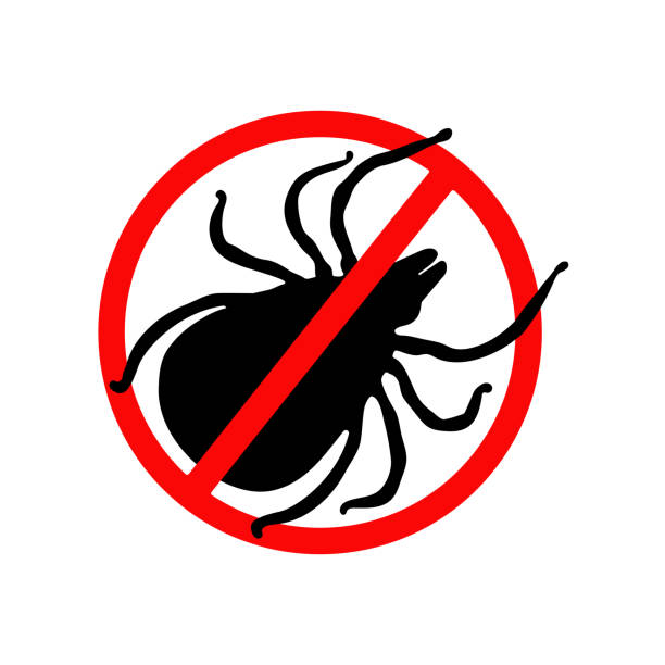 istock Silhouette of Tick in a red forbidding circle. No pests. Warning sign Vector Illustration isolated on white background 1391972056