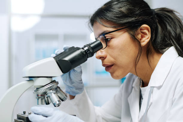 Side view of young female biochemist looking in microscope during research Side view of young serious female biochemist in whitecoat, gloves and eyeglasses looking in microscope during scientific research biochemist stock pictures, royalty-free photos & images