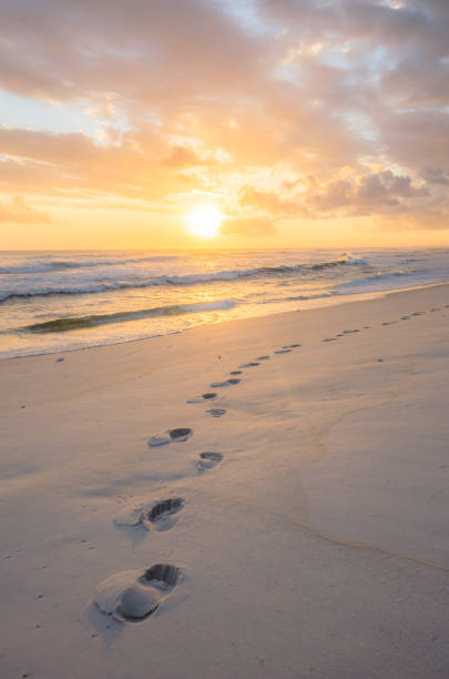 Beautiful remote beach with one person's footprints.