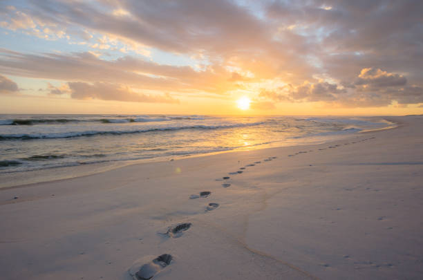 istock Sunset at the beach with beautiful sky and lonely footprints 1391974359