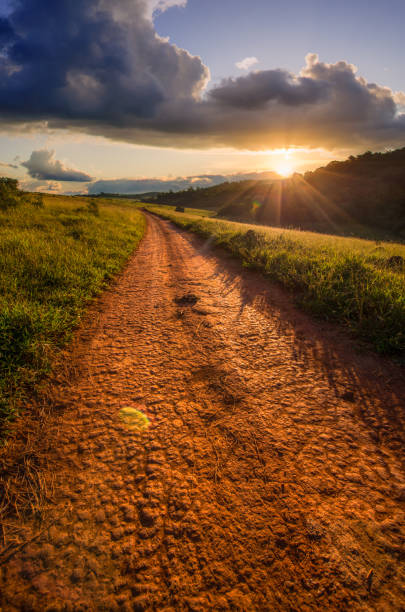 istock Dirt road in grass field during sunset 1391975307