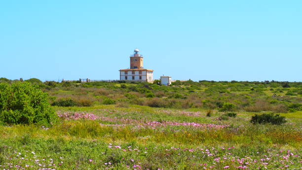 istock Tabarca Island Marine Reserve 1391975392