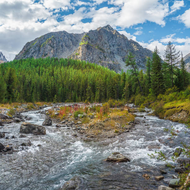 istock Power mountain river flows down from the glacier. Beautiful alpine landscape with azure water in a fast river. The power of the majestic nature of the highlands.  Water rapids. Altai Mountains. 1391976799