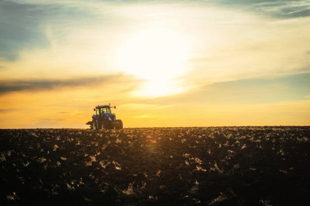 istock Farmer in tractor preparing land with seedbed cultivator 1391976909