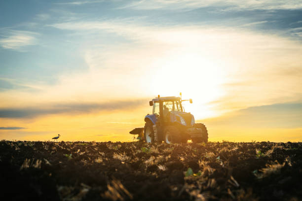istock Farmer in tractor preparing land with seedbed cultivator 1391976910