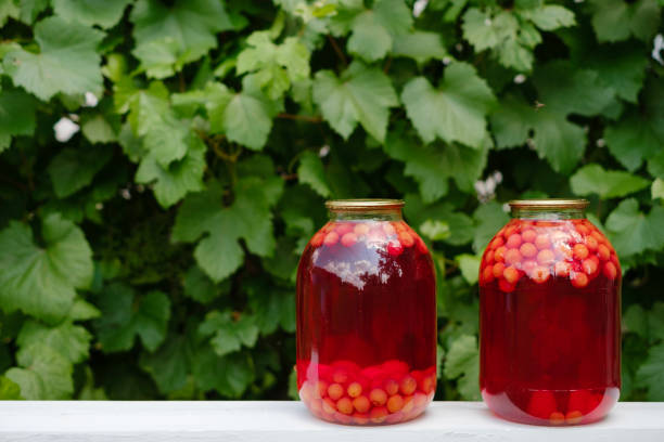 duas latas de compota de cereja fresca de frutas colhidas. conservado e preparação de conservas e conservas. fundo natural - jar canning food preserves - fotografias e filmes do acervo