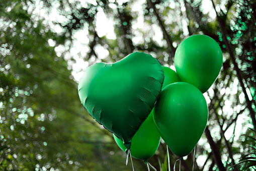 colorful balloons green color outdoors - birthday party and revelation tea concept