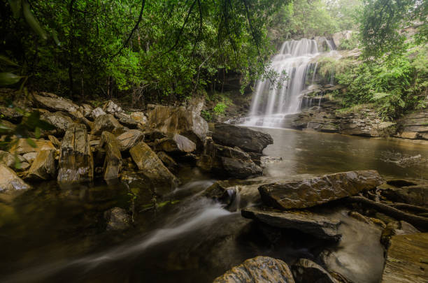 istock Long exposure of waterfall in tropical jungle 1391978635