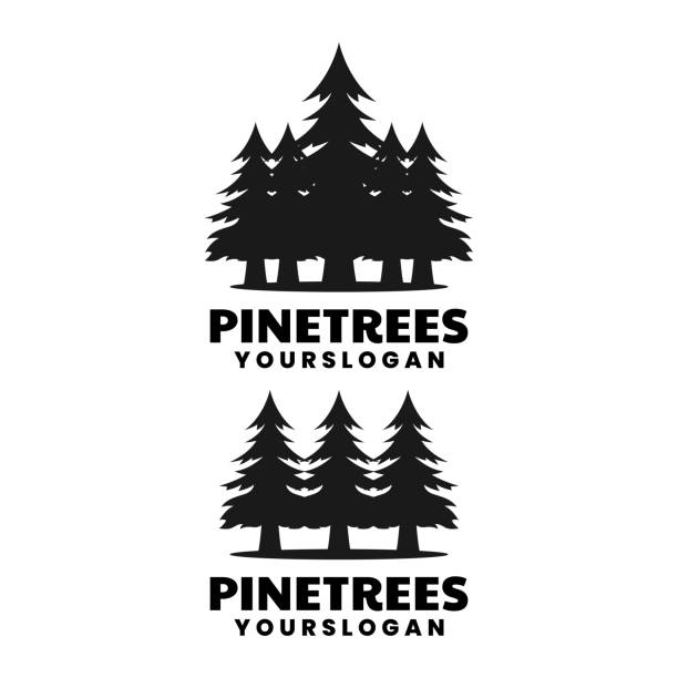 松の木のシルエットロゴデザインテンプレート - 針葉樹点のイラスト素材／クリップアート素材／マンガ素材／アイコン素材