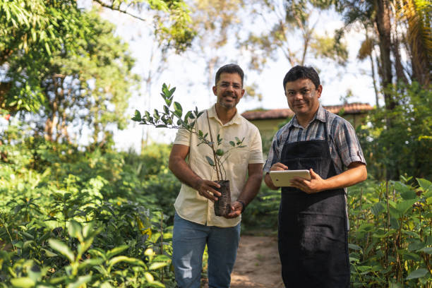 Agronomist buying lemon tree