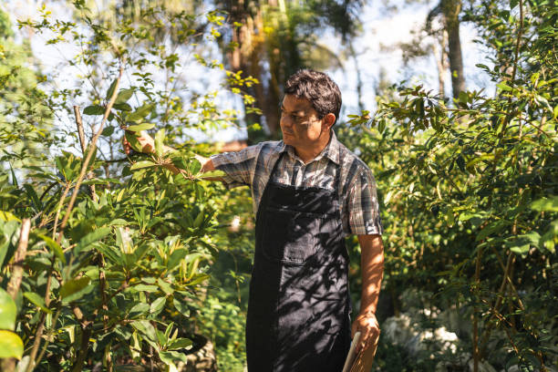 istock Man in apron tending the garden 1391980288