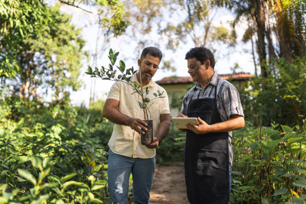 istock Agronomist buying lemon tree 1391980303