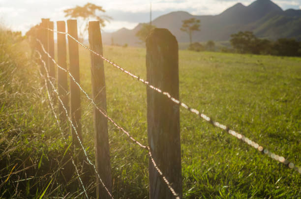 Rural fencing at sunset