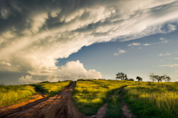 camino de tierra en la escena rural con impresionante nube de mammatus - mammatus cloud fotografías e imágenes de stock