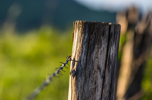 Close-up of rural fencing