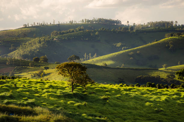istock Hilly landscape with green pasture 1391981806