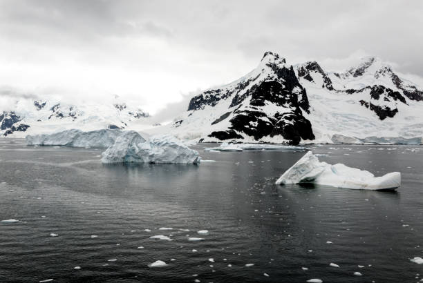 kreuzfahrt in der antarktis - märchenlandschaft - südpolarmeer stock-fotos und bilder