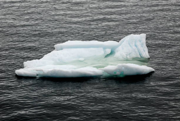 istock Antarctica - Pieces Of Floating Ice - Global Warming 1391984290