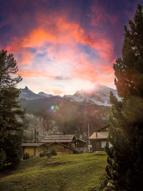 Mountains and tree background. Mountains landscape. Alpine meadows and beautiful mountains. Forest background. Green mountain landscape background. Panoramic view of mountain. Nature background