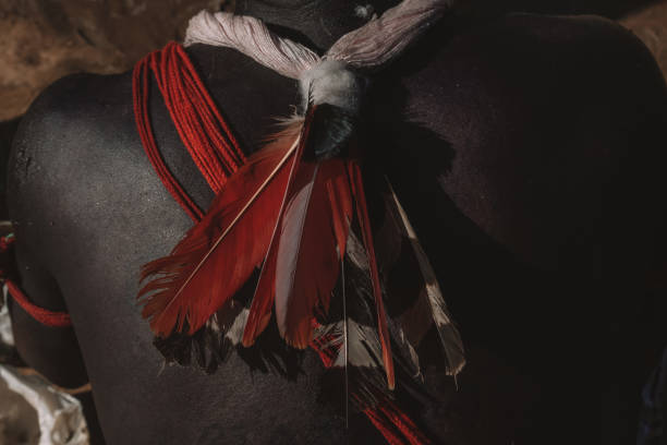 Indigenous bead and feather adornments worn by a member of a Brazilian indigenous tribe in the Amazon