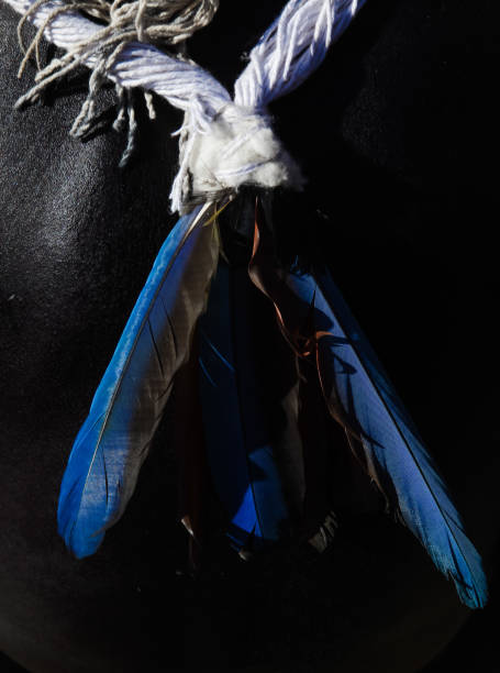 Indigenous bead and feather adornments worn by a member of a Brazilian indigenous tribe in the Amazon