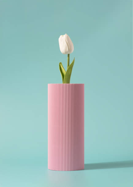 istock Single white tulip in a corrugated pink vase on a light blue background. 1391994265