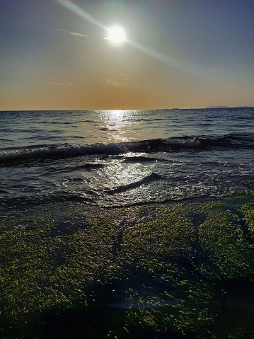 A wide shot from the shore of the Sea of Marmara. The sun is shining low on the horizon over water. It is near sunset, the sky is clear and blue. There are green seaweeds near the surface of the water.