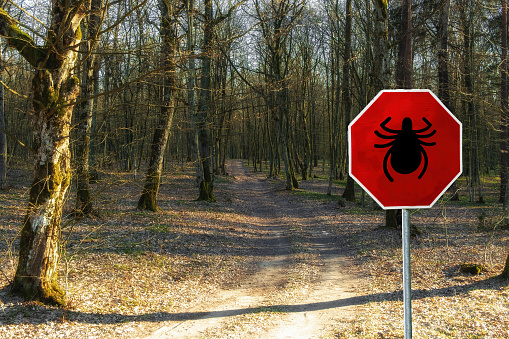 Warning sign beware of ticks in nature forest, infested area. Transmitter Lyme disease and tick-borne meningitis (meningoencephalitis).