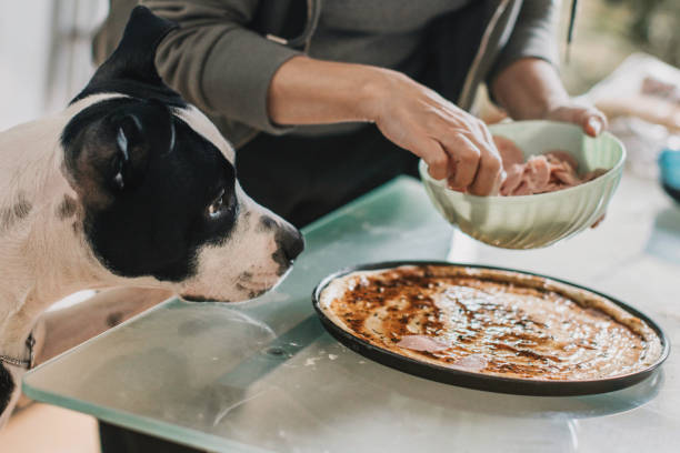 istock Women in the kitchen baking pizza with her dog 1392008773