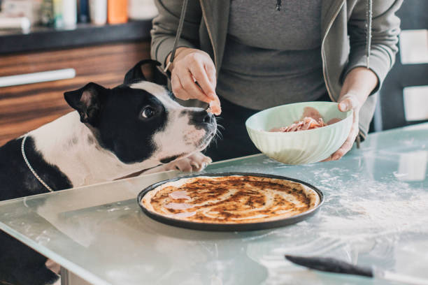 istock Women in the kitchen baking pizza with her dog 1392008778