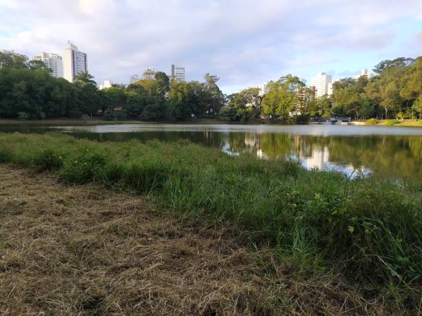 istock Aclimacao park in the afternoon on Easter 1392013168