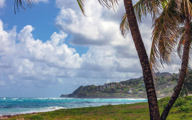 istock Caribbean coast - Long Bay, Jamaica 1392015713