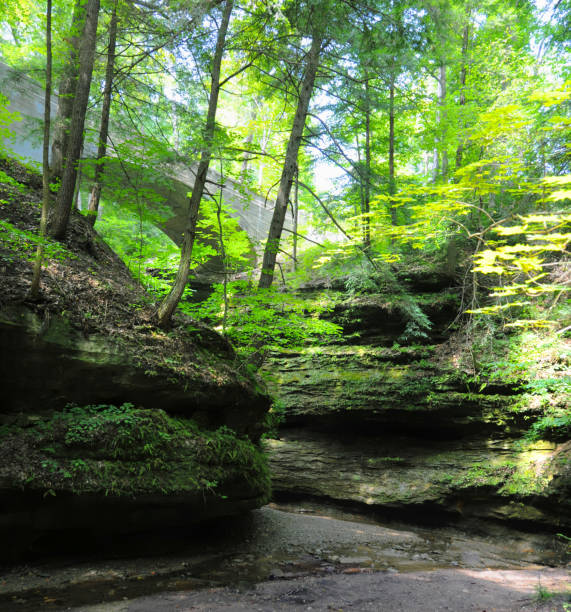 istock Limestone Canyon with trees-Turkey Run, Indiana 1392016336