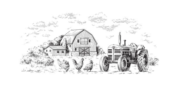 ферма ручной рисунок эскиз гравировка стиль иллюстрации - agriculture field tractor landscape stock illustrations