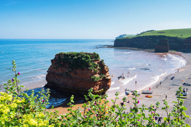 ladram bay in dorset, regno unito, jurassic coast - sidmouth devon foto e immagini stock