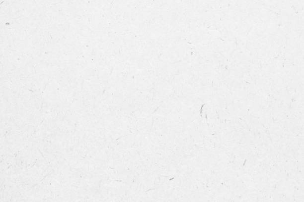 istock White recycle paper cardboard surface texture background 1392030844