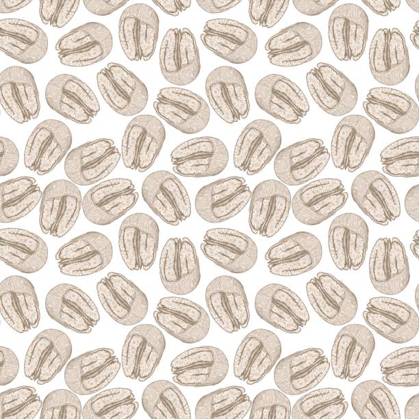 декоративные узоры, иллюстрация бежевого пекана на белом фоне - white background freshness variation brown stock illustrations